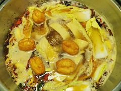 娃娃菜-七欣天(浦东羽山乐坊店)