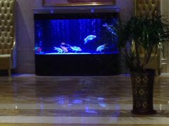 -维也纳酒店(桂林万福广场店)