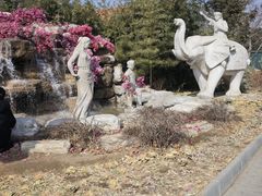 -南宫五洲植物乐园