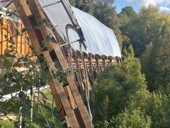 -怀托摩萤火虫洞