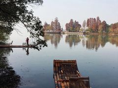 -东湖落雁景区