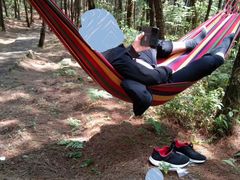 -铁山坪森林公园