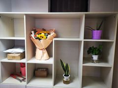 -红樱桃月嫂育婴师(徐汇总店)