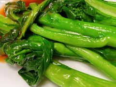 蚝油菜心-四道菜·福建菜馆(新街口金鹰店)