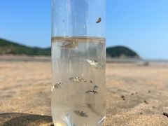 -东海半边山旅游度假区