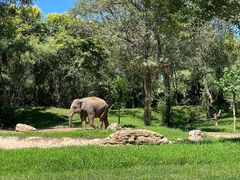 -北京野生动物园