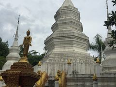 -西双版纳傣族园