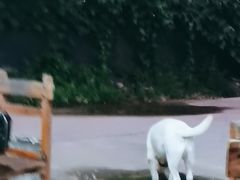 -聚友缘美食农庄