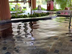 -碧水湾温泉