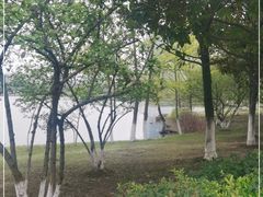 -白塘生态植物园