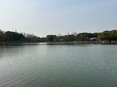 -新洲生态园