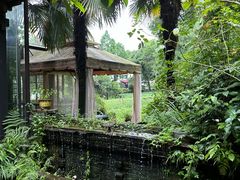 -野蔓果·山野菜(西湖景区·龙井茶田店)