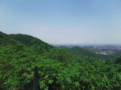 -杭州半山国家森林公园
