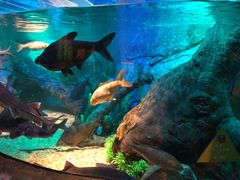 -沈阳海洋探索中心