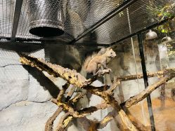 -Zoolung Zoolung动物主题公园(海信广场店)