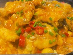 -洞庭家宴·头牌甲鱼(广渠门店)