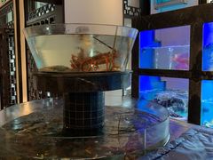 -宁波柏悦酒店·钱湖渔港