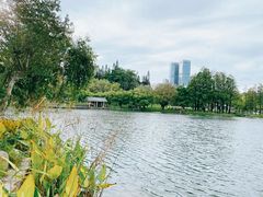 -四海公园(南山区)