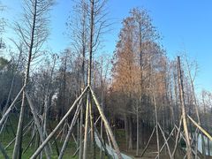 -佛冈森波拉度假区