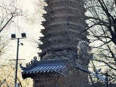 -高尔山公园