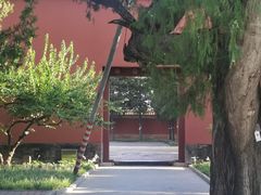 -北京市劳动人民文化宫(太庙)
