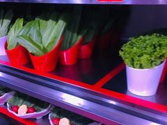 鲜切牦牛肉-清真军邺·金富苑肥牛(石坡街旗舰店)