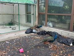 -宁波九龙湖开元度假村