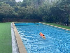 -汪说喵讲宠物乐园宠物酒店(红星美凯龙店)