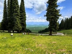 -新疆那拉提国家旅游度假区