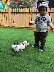 -萌宠亲子动物乐园(槐房万达店)