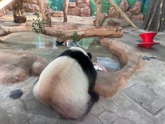 -南宁市动物园