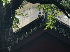 -国恩寺
