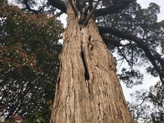 -青岛崂山太清宫