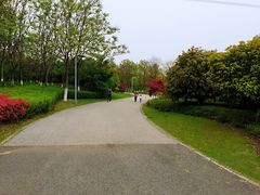 -九里河湿地公园
