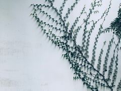 -健眺小海鲜(临海后山店)