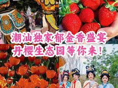 -丹樱生态园