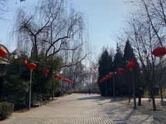 -仁和公园(顺义区)