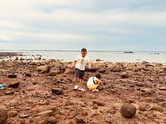 -硇洲岛旅游区