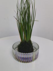 -斐尔国际皮肤管理中心