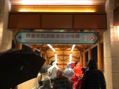 -迪士尼乐园停车场