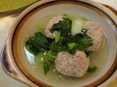 -丁老爷子苏香圆