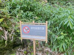 -沐川竹海旅游景区