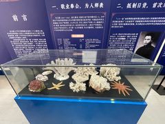 -上海海洋大学鱼文化博物馆(军工路校区)