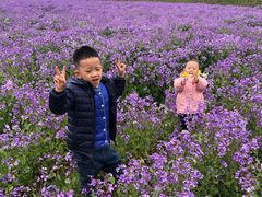 -汉长安城未央宫国家考古遗址公园