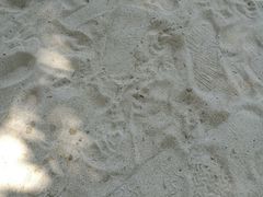 -卡马拉海滩