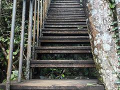 -七仙岭温泉国家森林公园