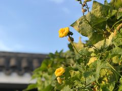 -北京友谊宾馆·俄罗斯餐厅