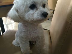 -故乡家韩国料理(丹东街店)