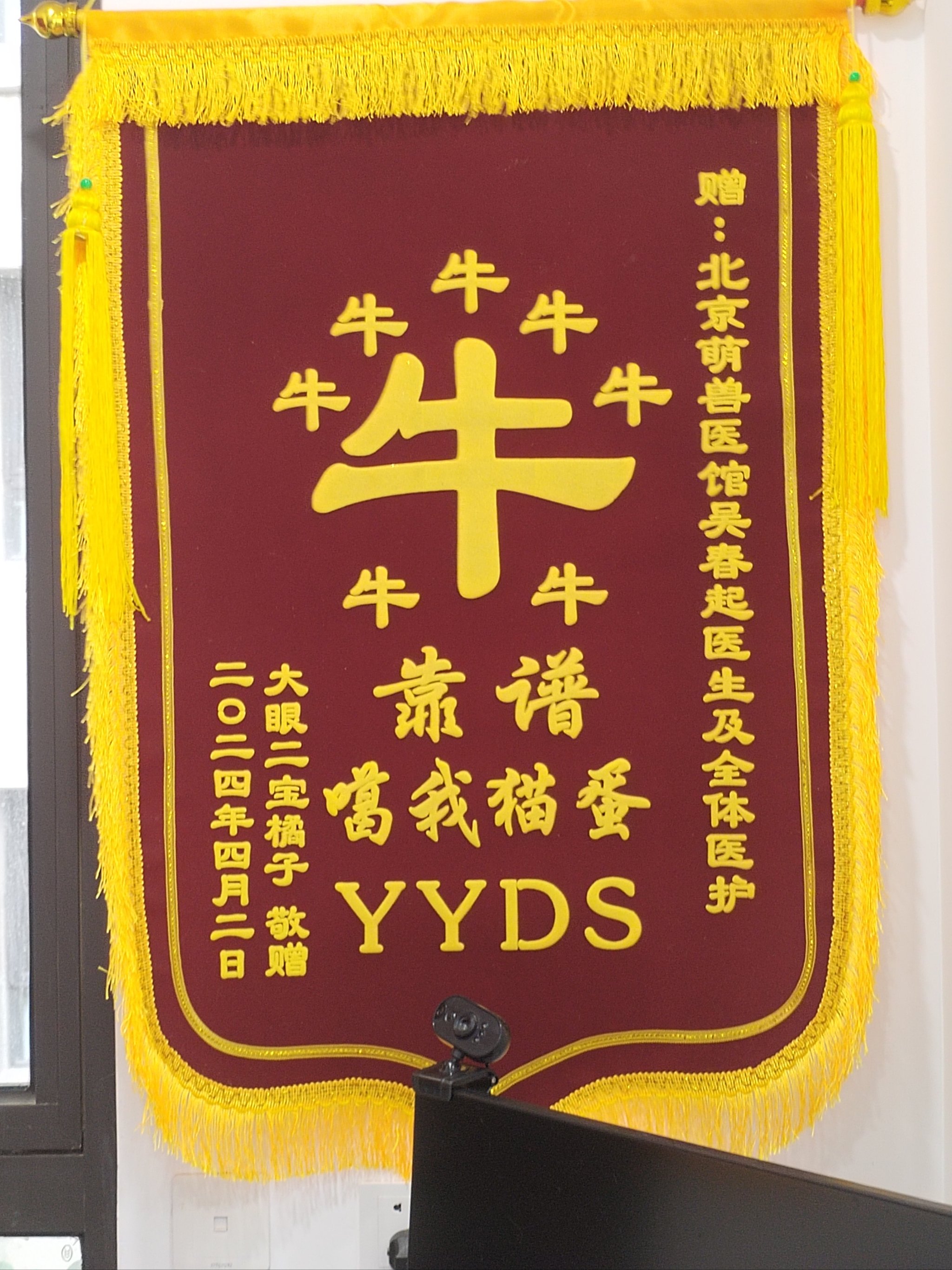 包含北京宣武醫院檢查代辦黃牛，享受貼心服務，的詞條