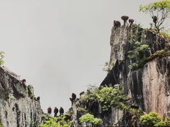 -浙江自然博物院(杭州馆)